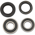 Pivot Works Wheel Bearing and Seal Kit - Double Seal - Rear | PWRWK-H18-008