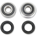 Pivot Works Wheel Bearing and Seal Kit - Double Seal - Rear | PWRWK-H20-006
