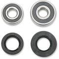 Pivot Works Wheel Bearing and Seal Kit - Double Seal - Rear | PWRWK-H14-040