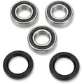 Pivot Works Wheel Bearing and Seal Kit - Double Seal - Rear | PWRWK-S13-021
