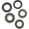 Pivot Works Wheel Bearing and Seal Kit - Double Seal - Rear | PWRWK-S17-400