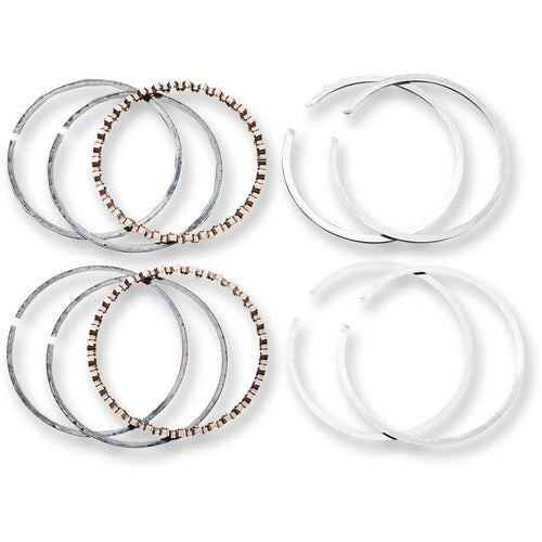 Hastings Piston Ring Set - Evolution - +0.030" | 2M6164030