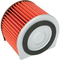 Emgo Air Filter Honda 17211-GE1-770 | 12-43940