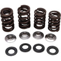 Kibblewhite Valve Spring Kit | 30-30640