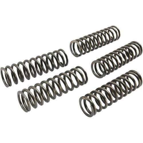 Ebc Clutch Springs | CSK223