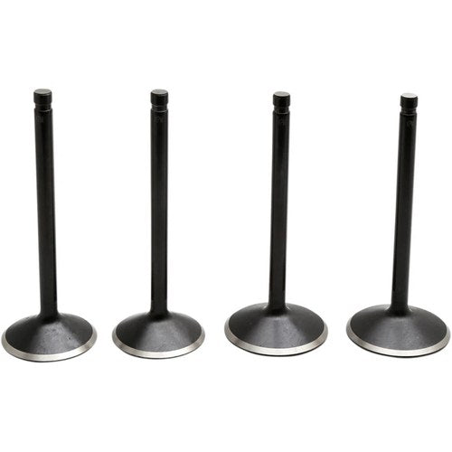 Kibblewhite Valve Kit - Evolution | 20-22600