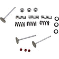 Moose Racing Intake Valve Kit | M80-80950