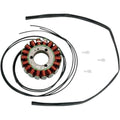 Rick's Motorsport Stator for Suzuki | 21-309