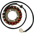 Rick's Motorsport Stator - Triumph | 21-006