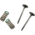 Prox Valve and Spring Kit | 28.SES2402-1