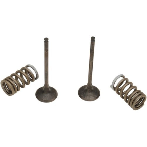 Prox Valve and Spring Kit | 28.SES3338-1
