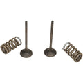Prox Valve and Spring Kit | 28.SES3338-1