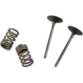 Prox Valve and Spring Kit | 28.SIS4336-2