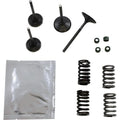 Wiseco Valve Kit | SVKB1403
