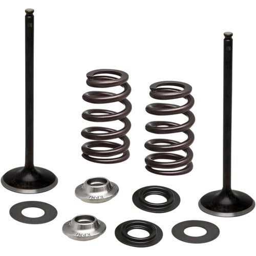 Kibblewhite Spring Kit - Intake Only | 96-96540