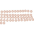Bolt Drain Plug/Banjo Bolt Washer Assortment | CPRM6.11-50