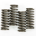 Ebc Csk Clutch Spring Kit | CSK149