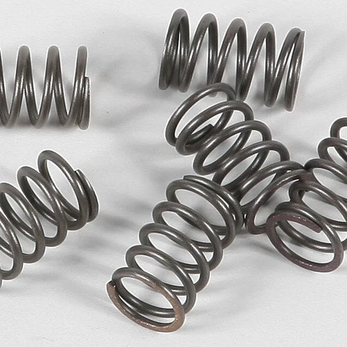 Ebc Csk Clutch Spring Kit | CSK18