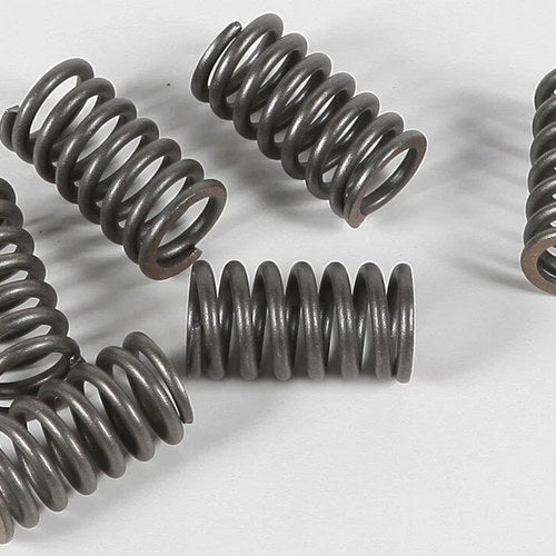 Ebc Csk Clutch Spring Kit | CSK31