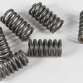 Ebc Csk Clutch Spring Kit | CSK31