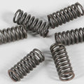 Ebc Csk Clutch Spring Kit | CSK33