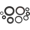 Moose Racing Engine Oil Seal Kit (0935-0399)