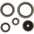 Moose Racing Engine Oil Seal Kit (0935-0036)