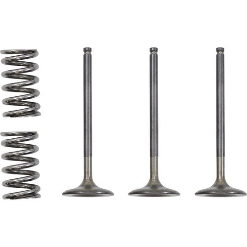 Prox Valve and Spring Kit | 28.SIS2424-2