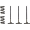 Prox Valve and Spring Kit | 28.SIS2424-2