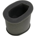 Hiflofiltro Replacement Air Filter | HFA2202