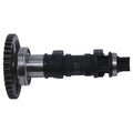 Hot Cams Stage 1 Camshaft | HC00053