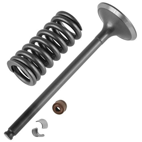 Caltric 14721-KRN-670 14761-KRN-670 12209-GB4-681 Exhaust Valve Kit for Honda