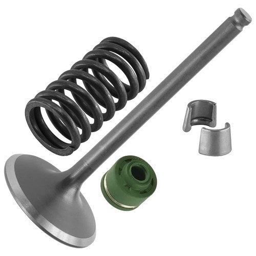 Intake Valve Kit for Yamaha YZ450F 2010 2011-2013 / 33D-12111-00-00 33D121110000