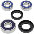 All Balls Wheel Bearing Kit - Double Seal - Rear | 25-1257