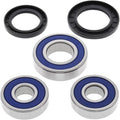 All Balls Wheel Bearing Kit - Double Seal - Rear | 25-1286