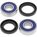 All Balls Wheel Bearing Kit - Double Seal - Front | 25-1221
