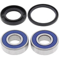 All Balls Wheel Bearing Kit - Double Seal - Front/Rear | 25-1380