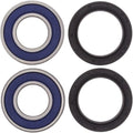 All Balls Wheel Bearing Kit - Double Seal - Front | 25-1389