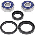All Balls Wheel Bearing Kit - Double Seal - Front | 25-1307