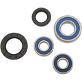 All Balls Wheel Bearing Kit - Double Seal - Rear - DL650 | 25-1393