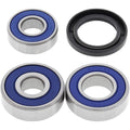 All Balls Wheel Bearing Kit - Double Seal - Rear - Honda | 25-1087