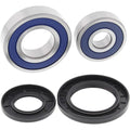 All Balls Wheel Bearing Kit - Double Seal - Rear | 25-1282