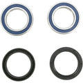 All Balls Wheel Bearing Kit - Double Seal - Front - KTM | 25-1402-A