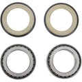 All Balls Steering Stem Bearing/Seal Kit | 22-1039