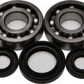 All Balls Crankshaft Bearing/Seal Kit | 24-1028