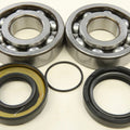 All Balls Crankshaft Bearing/Seal Kit | 24-1066