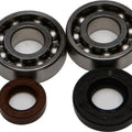 All Balls Crankshaft Bearing/Seal Kit | 24-1101