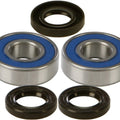 All Balls Front Wheel Bearing/Seal Kit | 25-1219