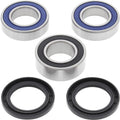All Balls Wheel Bearing Kit | 25-1556