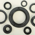Vertex Oil Seal Set | 822110